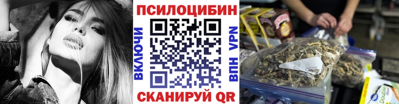 Галлюциногенные грибы Psilocybe  Калининград 